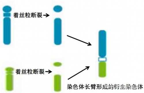试管婴儿医保报销政策与费用解析