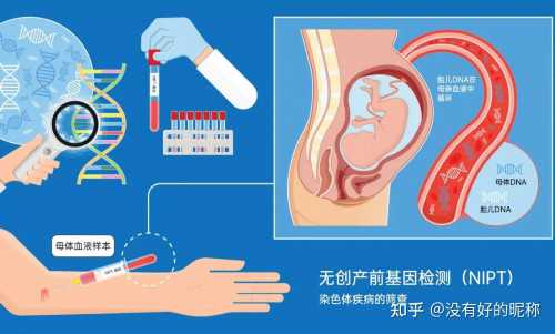 代怀服务与临床医学试管婴儿费用解析-哪里代怀靠谱及费用详情