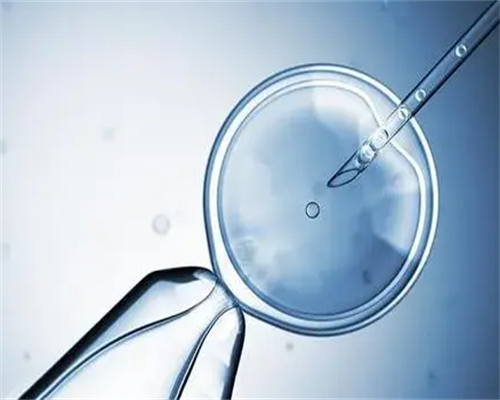 产后恢复喝黑鱼汤的催乳与营养改善作用解析